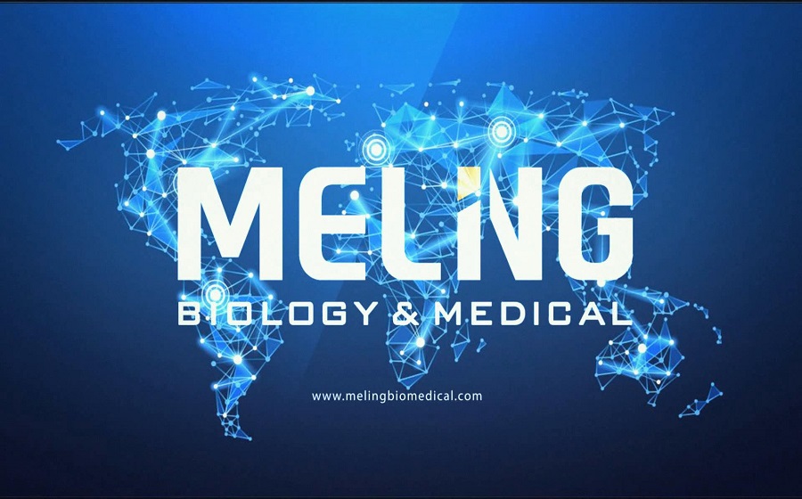 Внедрение Meiling Biomedical
